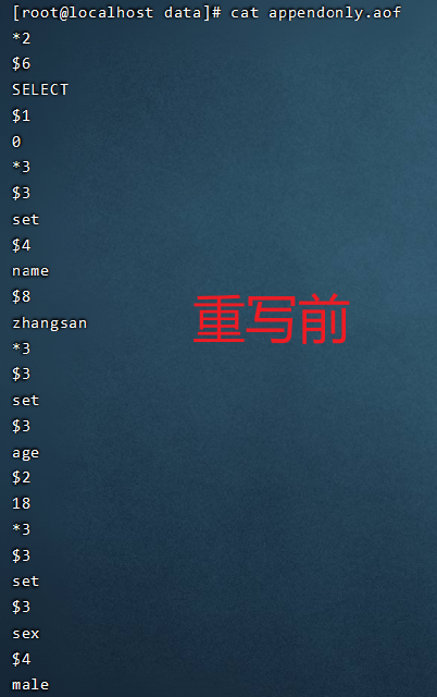 image-20210301171637281